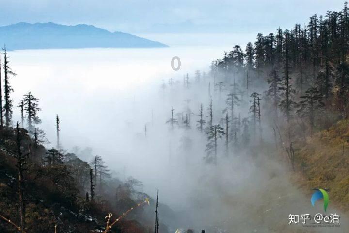 逃离沙地